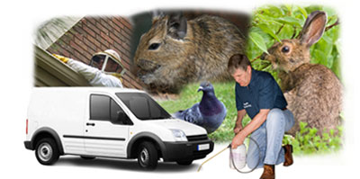 Mexborough local van